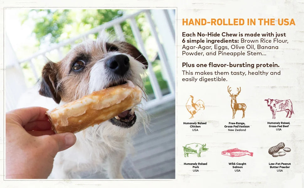 Earth Animal No Hide 11" Large Chew 2-Pack