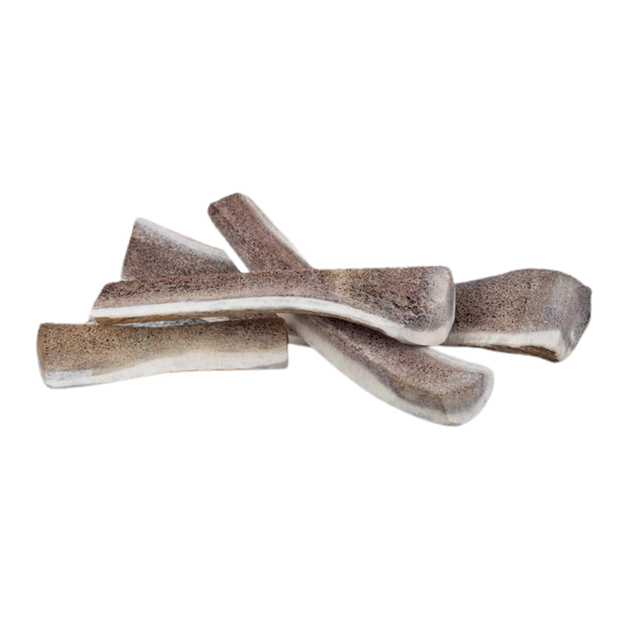 Primal 6-7in Medium Split Antler (Elk)