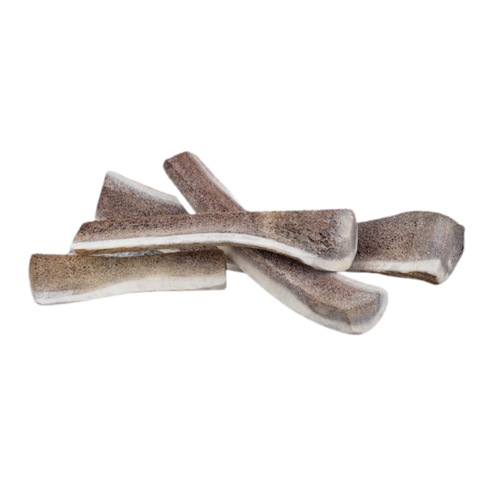 Primal 6-7in Medium Split Antler (Elk)