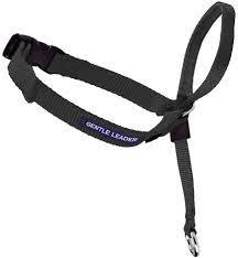 Gentle Leader Quick Release Head Collar- Small