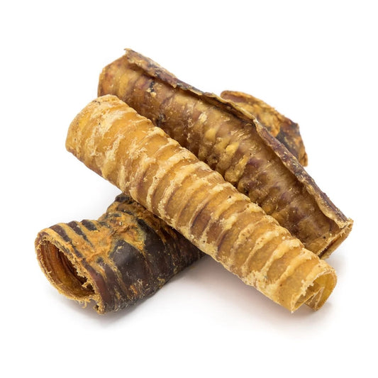 Mascoti Trachea Chew Treats